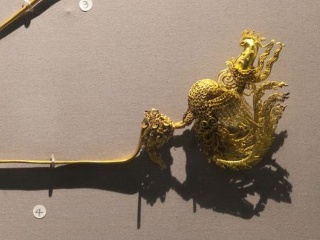 “WANMEI SPORTS”益生菌是什么对身体有什么作用吗(图2) 完美体育